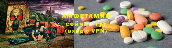 индика Заволжск