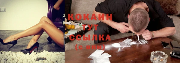индика Заволжск