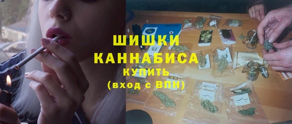 индика Заволжск