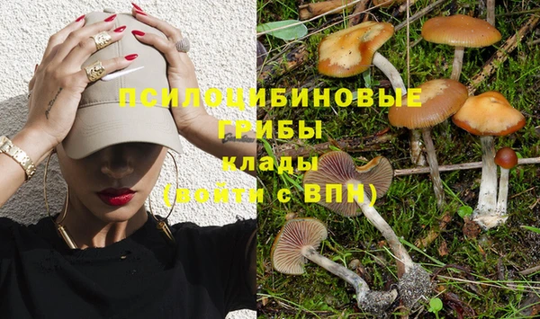 марки nbome Заводоуковск