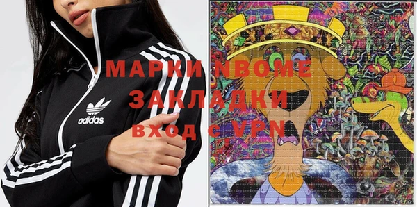 индика Заволжск