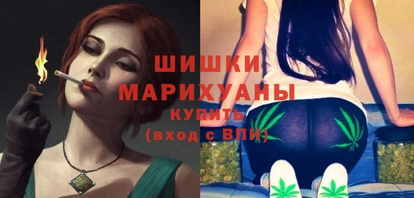 индика Заволжск